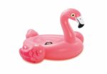 Lundruese Flamingo